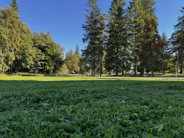 Muru niitmine - Image 3